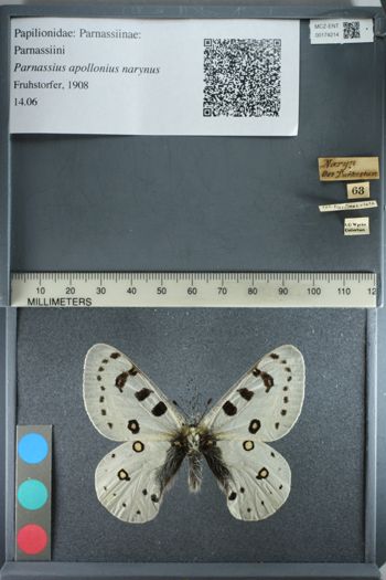 Media type: image;   Entomology 174214